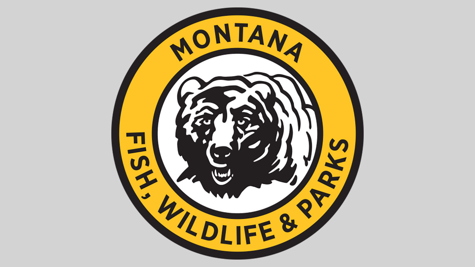 Grizzly bears test positive for bird flu in Montana, officials say